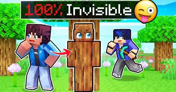 Play Minecraft Hide N' Seek With Friends And See If You Are 100% Hidden Or Not?